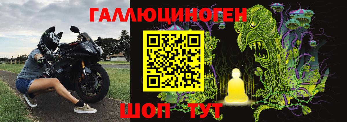 Галлюциногенные грибы Барнаул